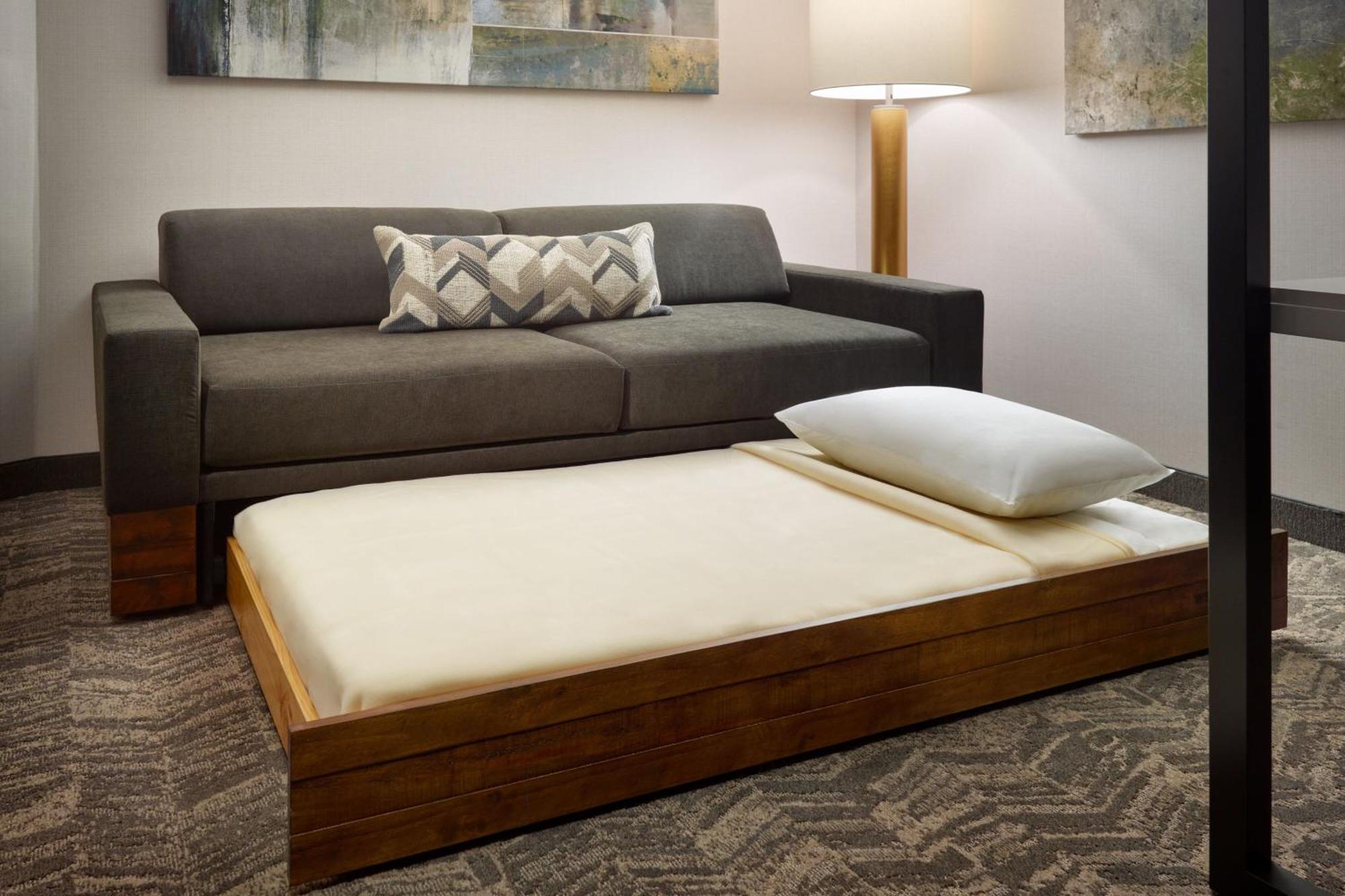 Springhill Suites By Marriott Arlington Tn Εξωτερικό φωτογραφία